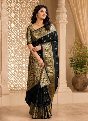 Black & Gold Designer Saree